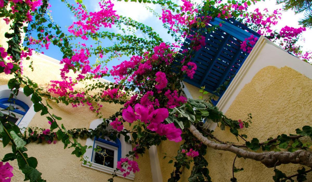 Appart hôtel Zeus 2*