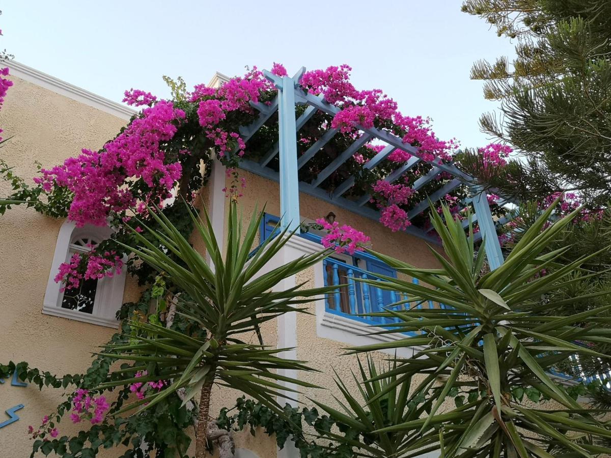 Zeus Kamari (Santorini)